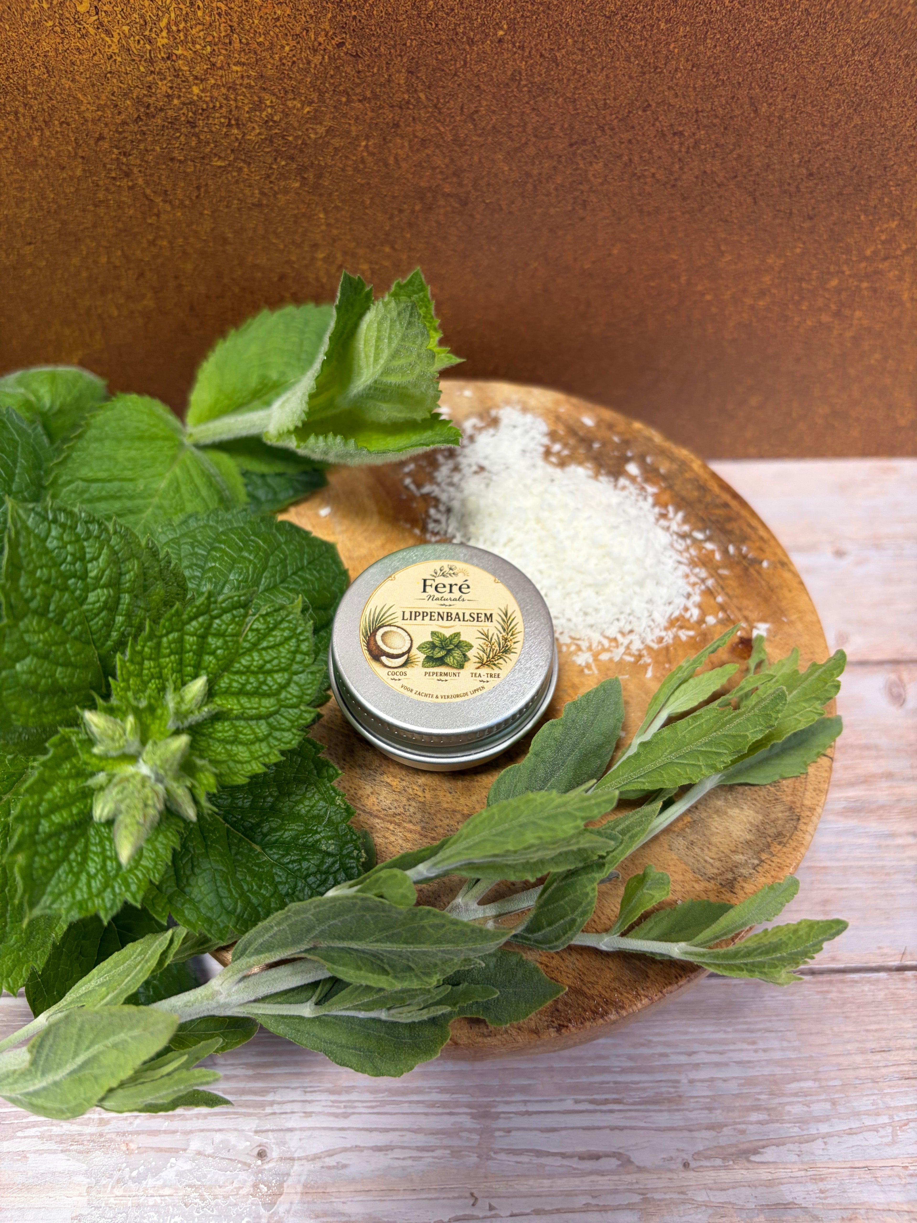 Lippenbalsem Kokos • Pepermunt • Tea Tree